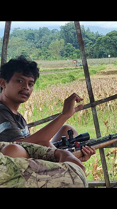 Tembakan Meleset Penonton Yang Di Salahkan #shorts