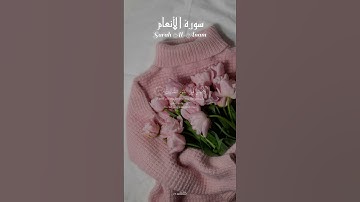 سورة الأنعام | 💗 Surah Al-An’am – ﴿فلما رأى القمر بازغا قال هذا ربي﴾ تلاوة ياسر الدوسري