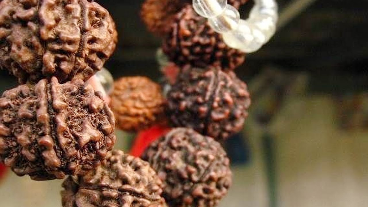 Rudraksha Mala & Adiyogi Ji