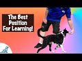 Teaching Heel Position - Fix 3 Dog Training Issues With One Skill! Teaching Heel Position - Fix 3 Dog Training Issues With One Skill!