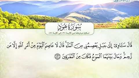 سورة هود 36 الى 49 ـــ جمال الدين الزيعلى