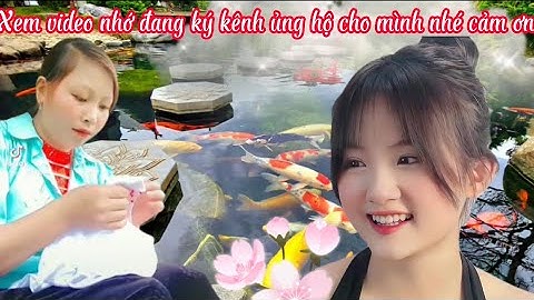 DangChieu123 - hát lượn - Pá zung - iu mien zung - dân tộc dao đỏ - hát tiếng dao đỏ -