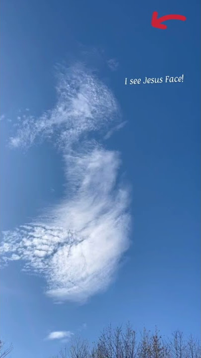 I see Jesus! AMEN🙏🏼😱😍 What do you see? #shorts #clouds #jesus