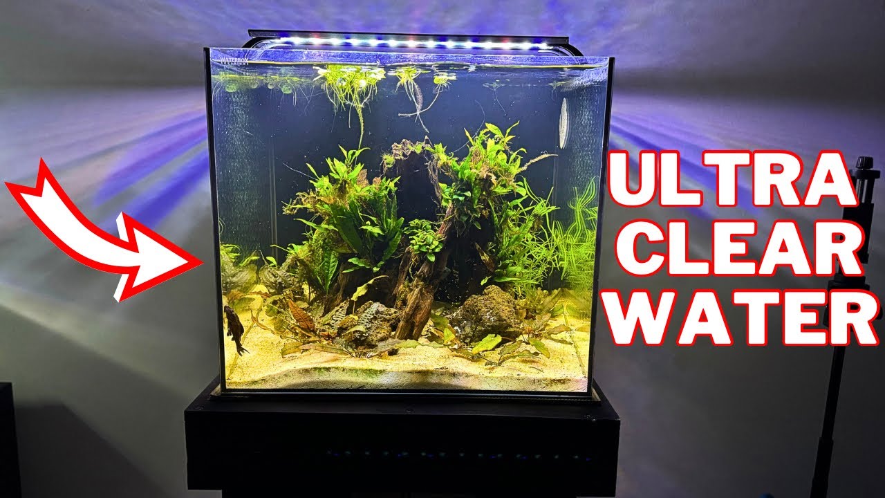 Seachem Purigen Review | Unparalleled Water Clarity!