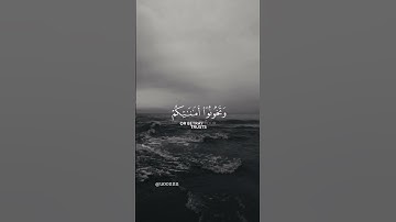 سورة الأنفال القارئ ياسر الدوسري.