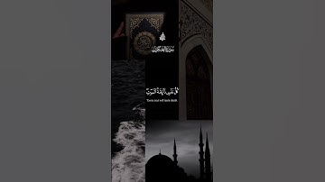 عبد الرحمٰن مسعد - تلاوة خاشعة من سورة العنكبوت ♥️🎧✨