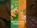 One Treat Delights | One Can Harm | Do You Know Which?