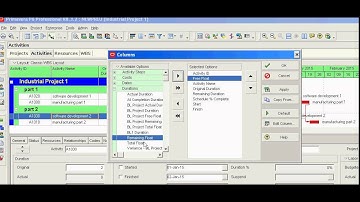 Primavera P6 how to know total and free float