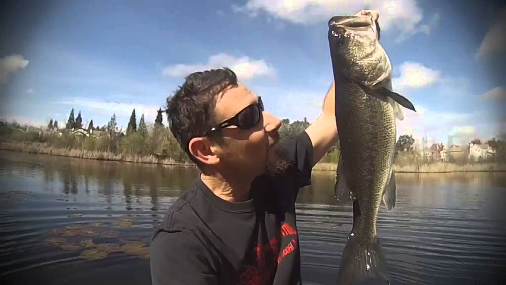 Urban Bass Slayers 4.14 Bass on a Swim Bait