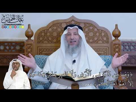 237 و م ا م ن د آب ة ف ي ٱل أ ر ض و ل ا ط ئ ر ي ط ير ب ج ن اح ي ه عثمان الخميس