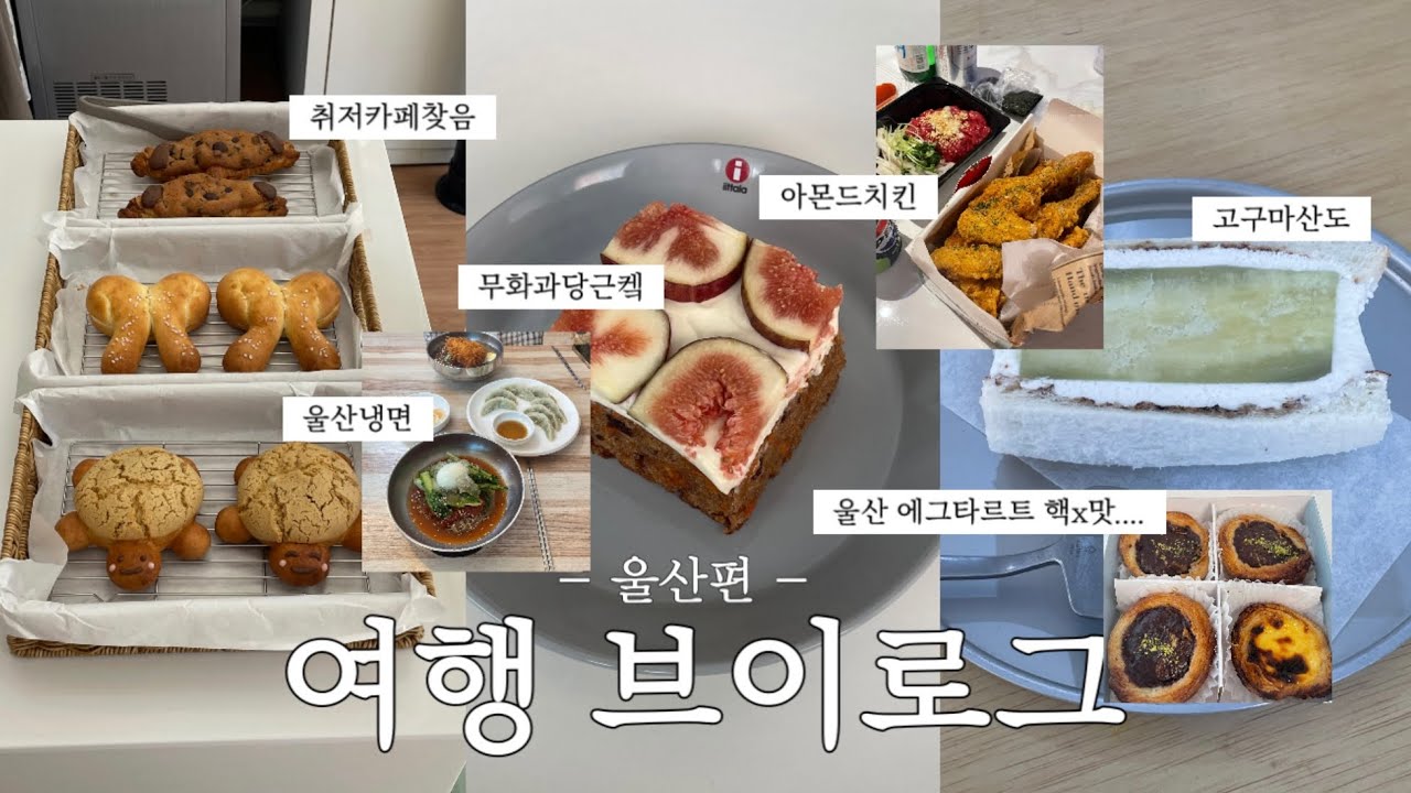 [재업] 울산에 할 게 없다고 • • •? 내가 맛깔나게 말아줄게(feat. 카모아 🚘🏠  | 여러분들이 원하던 맛집, 카페 여기있음 ⭐️ vlog