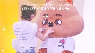 Stray Kids SKZ Toy World Fan Connecting / SKZ x SKZOO 귀여운 한쿼카 개똥이 모음