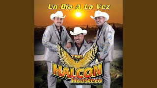 Video thumbnail of "Trio Halcon Huasteco - Que Me Entierren Con Huapango"