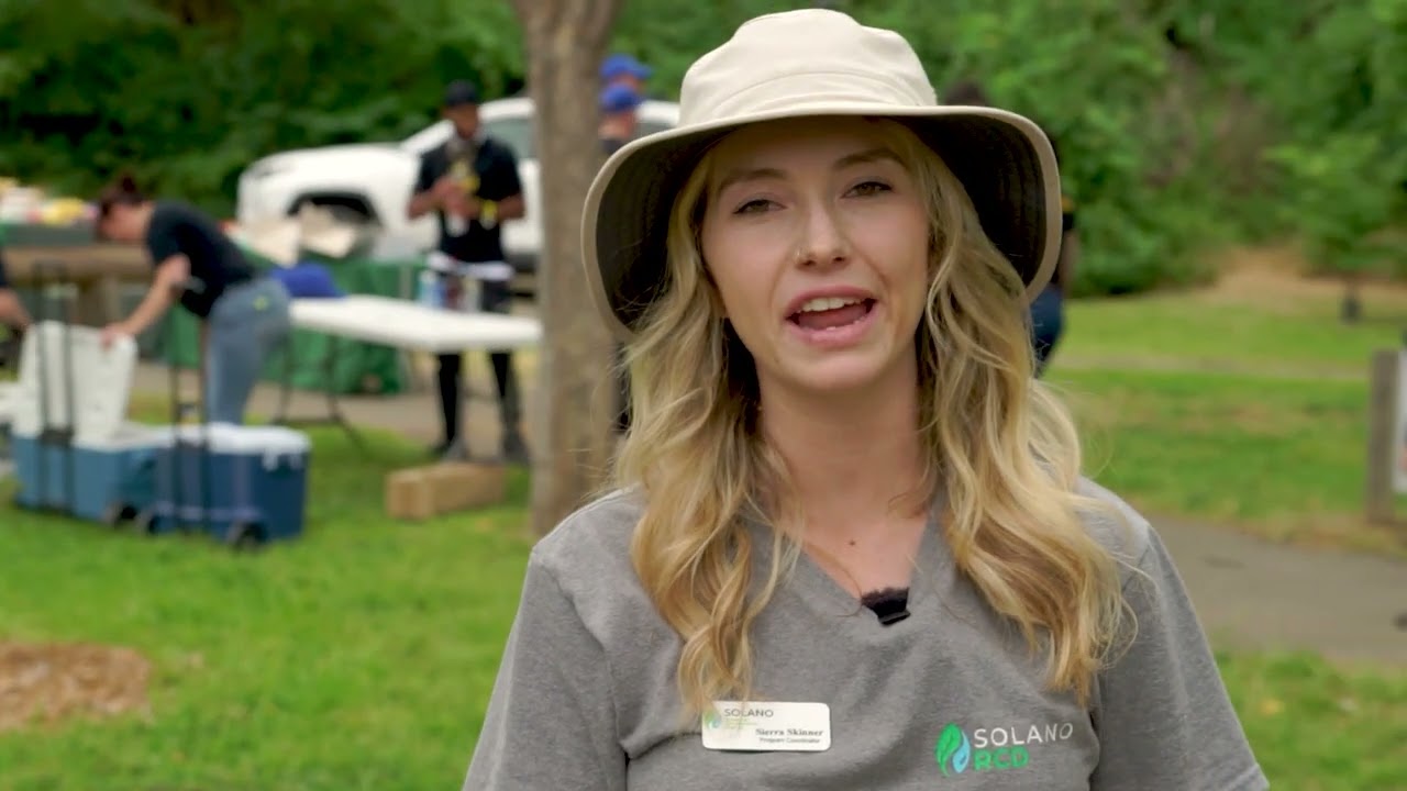 Solano County Cleanups