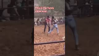 What Is Going On Here This Is Funny シ シVir