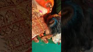 Santali Bapla vdo😍//Gate Bapla#adivasi #ytshorts #ytshort #reels #adivasi #wedding#santalibaplavideo