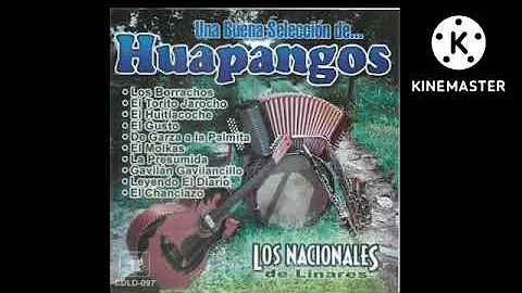 nacionales de linares-una buena seleccion de huapangos-disco completo