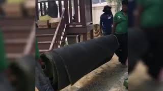 Artificial Grass - Professional Installation, Bangkok, Thailand