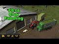 Fs14 Farming Simulator 14 - Cow Feeding / İnek Besleme Timelapse #33