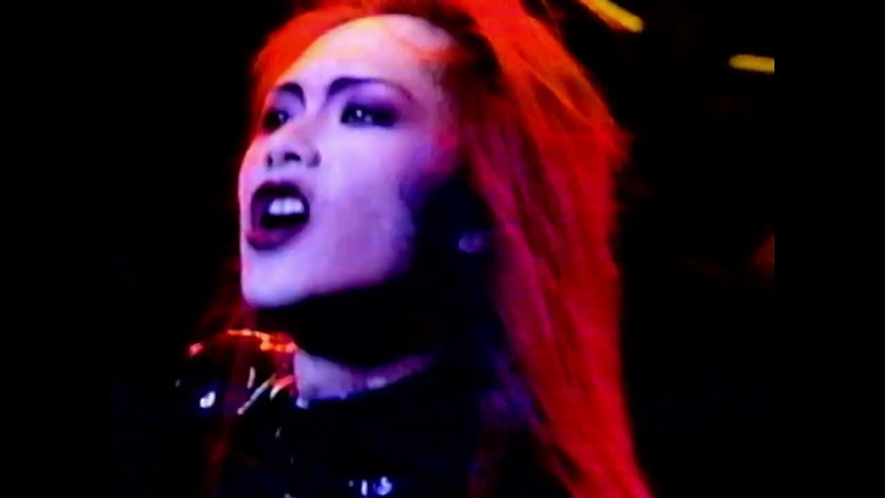 ROUAGE ライブビデオ2点セット ROUAGE ライブビデオ2点セット