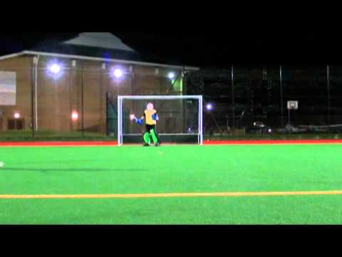 hockey goalkeeper training videos download