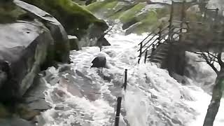 Impresionante. Los Pilones de la Garganta de los Infiernos con más agua que nunca