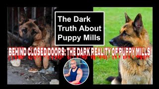 Puppy Mills Exposed Why We Need Stricter Regulations by My New Puppy with Ali A. Parker 148 views 7 months ago 4 minutes, 24 seconds