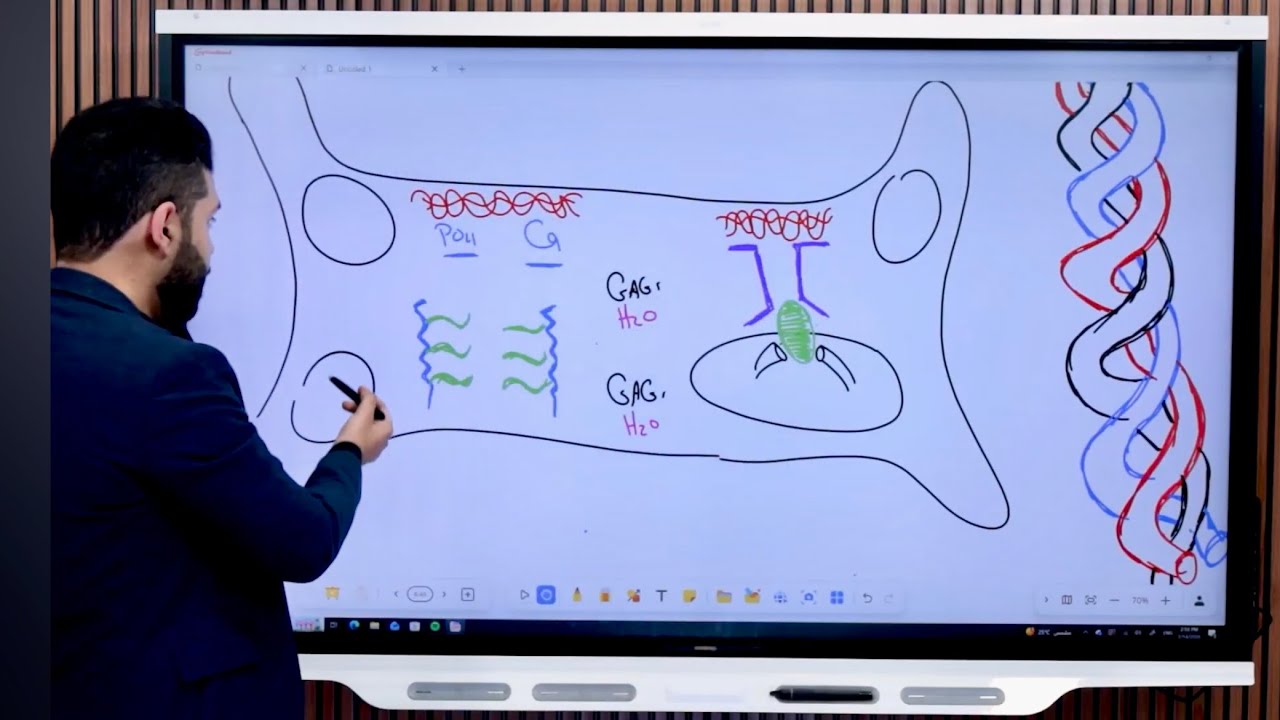 Extra cellular matrix proteins