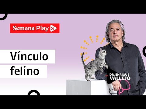 Vínculo entre gatos y humanos | Enrique Vallejo en Salud Animal