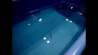 Savage Lures Sandeel Jigs