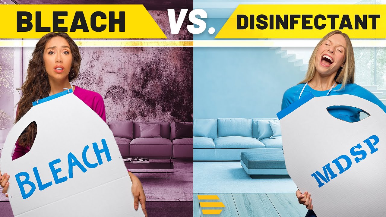 Bleach vs Disinfectant: Which is Best for Water Damage?