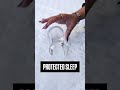 Protect your mattress. Upgrade your sleep.