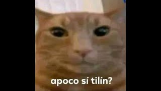 Friday Night Funkin Vs Sonic.exe Final Escape Fan Chart