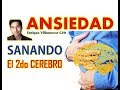 ANSIEDAD: SANANDO EL "SEGUNDO CEREBRO"