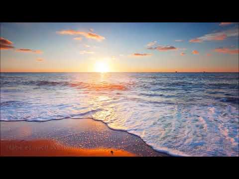 Michael Patrick Kelly - Shake away (deutsch)