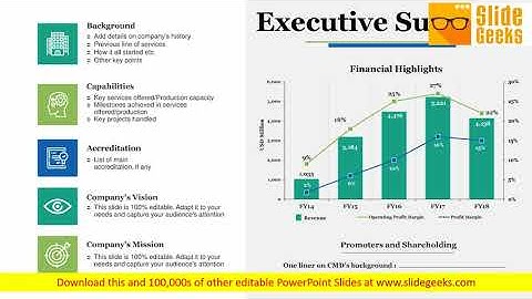 Executive Summary Ppt Powerpoint Presentation Professional Templates
