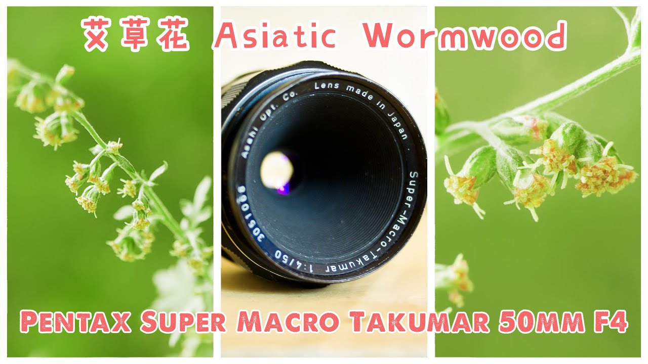 Pentax Super Macro Takumar 50mm F4 - Vintage Lens for video