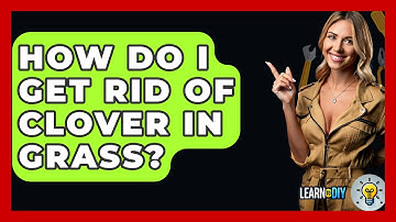 How Do I Get Rid of Clover in Grass? - LearnToDIY360.com