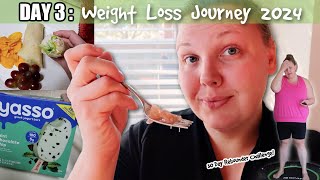 What I Eat for WEIGHT LOSS! DIY McDonald's Ranch Chicken Snack Wrap | Weight Loss Journey 2024 (WW)