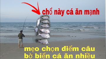 Chọn điểm câu , vị trí câu , thời gian câu, thời tiết câu và các cách câu cá biển gần bờ 100% lên cá