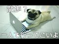 【衝撃】殿堂入りボケてがツッコミどころ満載すぎたwww74【ツッコミ】