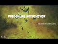 Voboghure Novoshchor   Metrolife [ Slowed Reverb ]