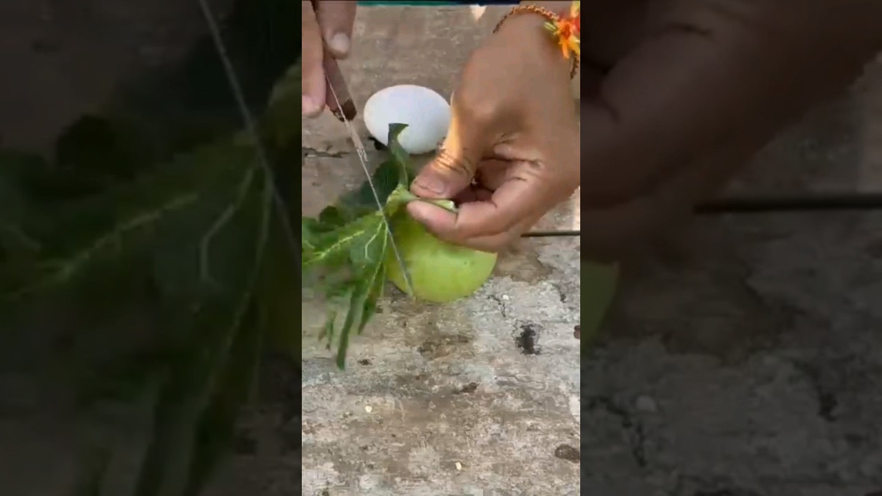 Great skill.....how to grow apples with eggs to more fruitshortsnew 