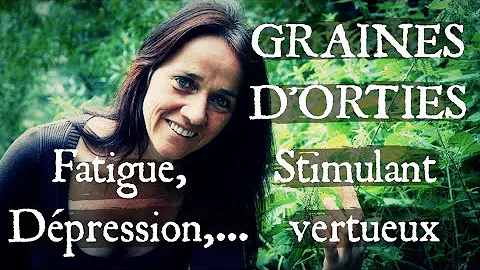 Comment consommer les graines d'ortie ?