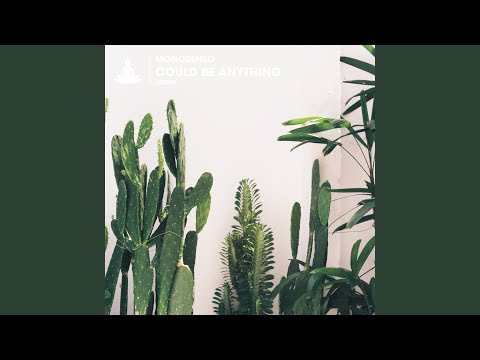 Monosenso - Could Be Anything - Instrumental Mix