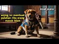 Kisah anjing yang marah saat nabi muhammad di hina