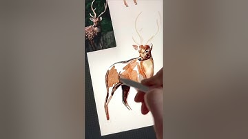 New realistic watercolor brushes for procreate