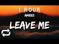 [1 HOUR 🕐 ] anees - leave me (Lyrics) i don
