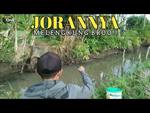 Yogo Mukti Wibowo Serunya Mancing Di Sungai Arus Deras