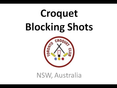 Croquet Blocking Shots